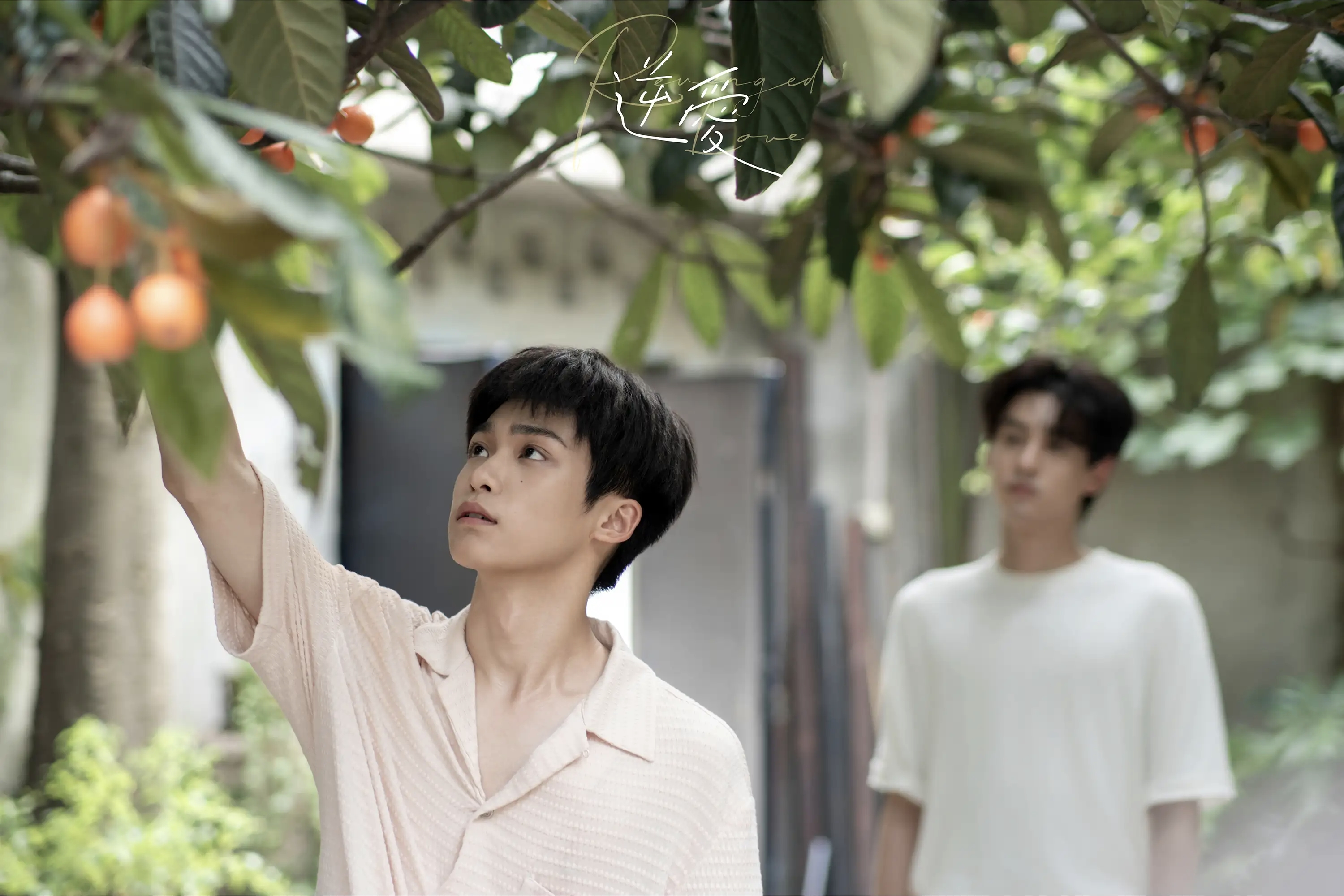 How ZiYu Went from Idol Trainee to the Face That Broke “Revenged Love”